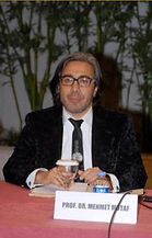 Why artificial solutions should not be preferred in the treatment of microtia.